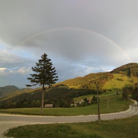 Hotel Planinski Dom Vrhe Trbovlje Esterno foto