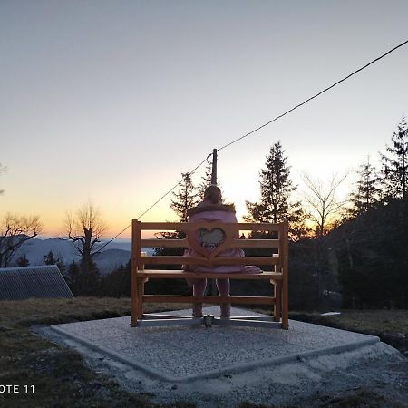 Hotel Planinski Dom Vrhe Trbovlje Esterno foto