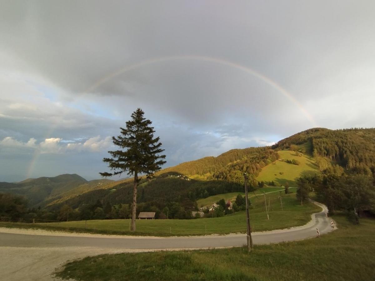 Hotel Planinski Dom Vrhe Trbovlje Esterno foto