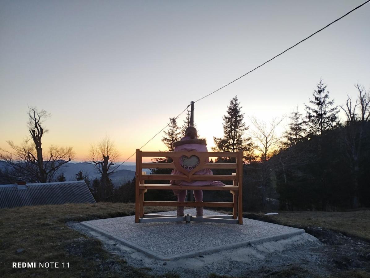 Hotel Planinski Dom Vrhe Trbovlje Esterno foto